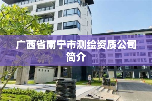 廣西省南寧市測繪資質(zhì)公司簡介