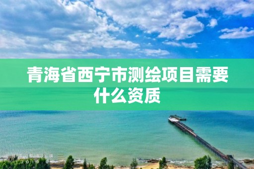 青海省西寧市測繪項目需要什么資質(zhì)