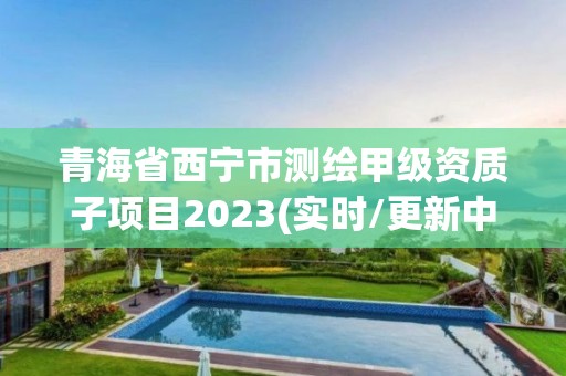 青海省西寧市測繪甲級資質子項目2023(實時/更新中)