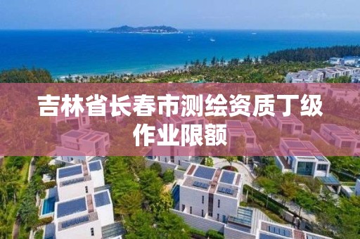 吉林省長春市測繪資質丁級作業限額