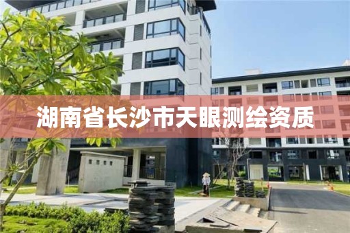 湖南省長沙市天眼測繪資質