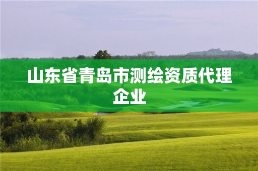 山東省青島市測繪資質(zhì)代理企業(yè)