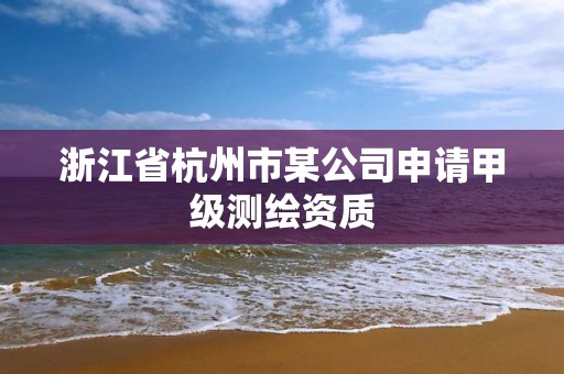 浙江省杭州市某公司申請甲級測繪資質