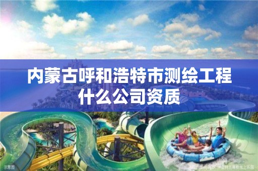 內蒙古呼和浩特市測繪工程什么公司資質