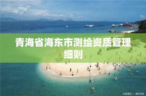 青海省海東市測繪資質管理細則