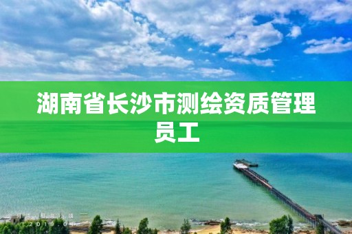 湖南省長沙市測繪資質管理員工