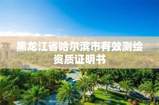 黑龍江省哈爾濱市有效測繪資質(zhì)證明書