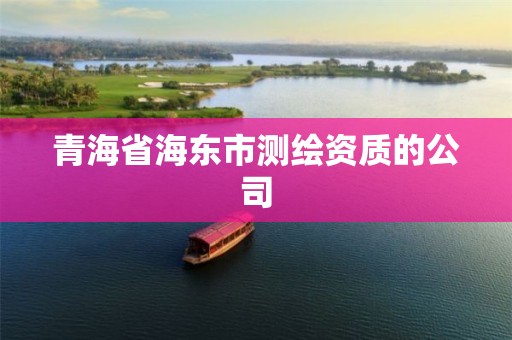 青海省海東市測繪資質的公司