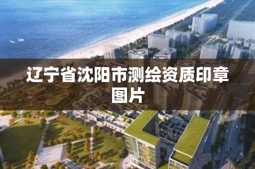 遼寧省沈陽市測繪資質印章圖片