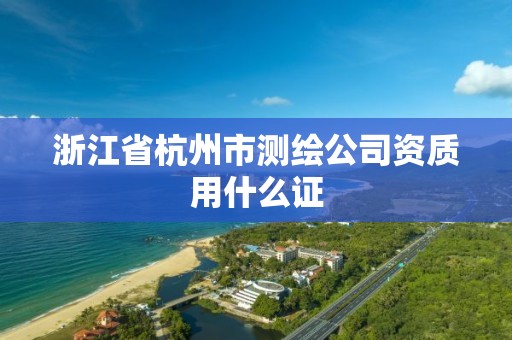 浙江省杭州市測繪公司資質用什么證