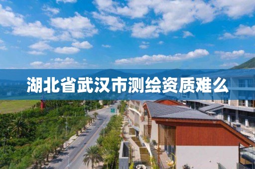 湖北省武漢市測繪資質難么