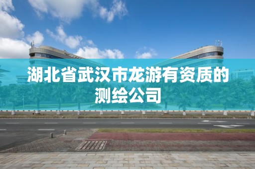 湖北省武漢市龍游有資質的測繪公司