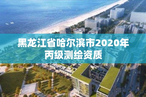 黑龍江省哈爾濱市2020年丙級測繪資質