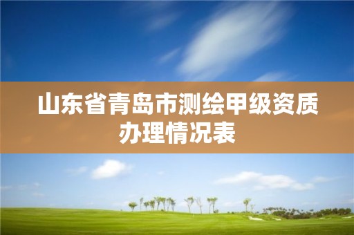 山東省青島市測繪甲級資質辦理情況表