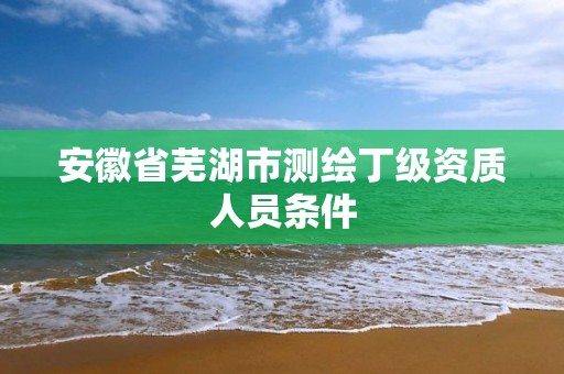 安徽省蕪湖市測繪丁級資質人員條件