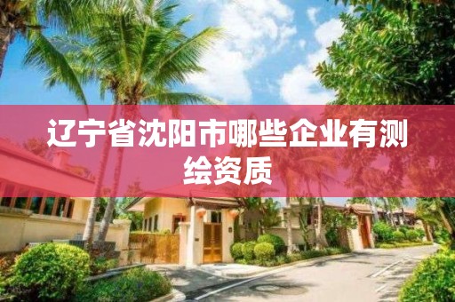 遼寧省沈陽市哪些企業有測繪資質