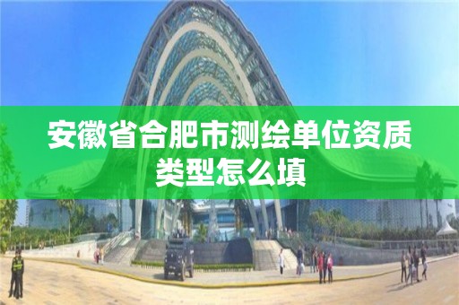 安徽省合肥市測繪單位資質類型怎么填