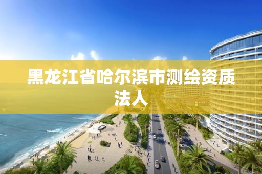 黑龍江省哈爾濱市測繪資質法人