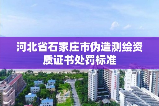 河北省石家莊市偽造測繪資質證書處罰標準