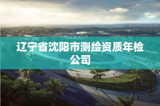 遼寧省沈陽市測繪資質年檢公司