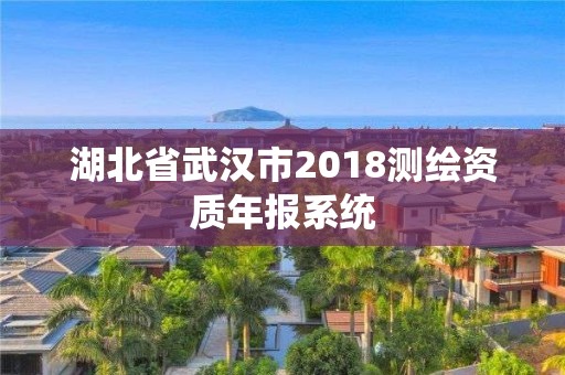 湖北省武漢市2018測繪資質年報系統