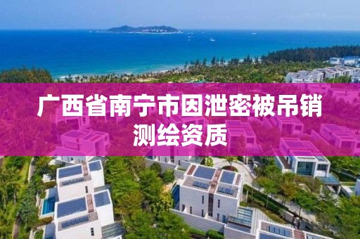 廣西省南寧市因泄密被吊銷測繪資質