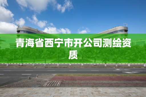 青海省西寧市開公司測繪資質