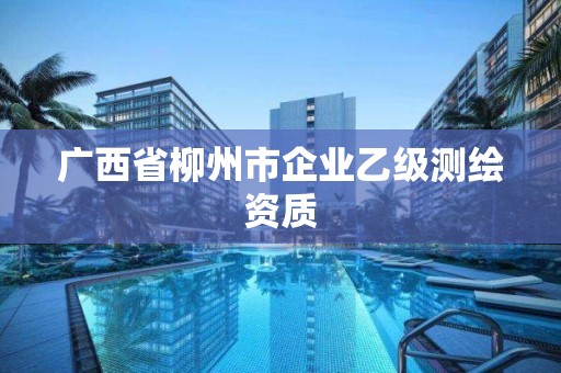 廣西省柳州市企業乙級測繪資質