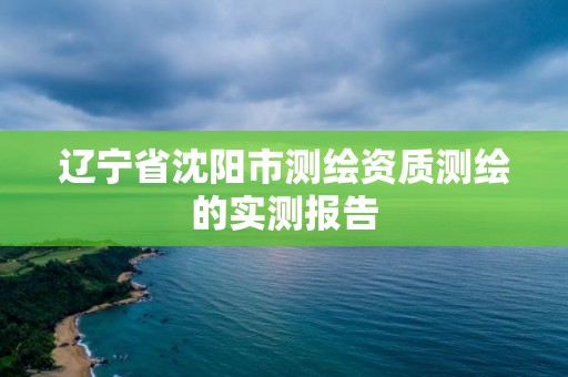 遼寧省沈陽市測繪資質測繪的實測報告