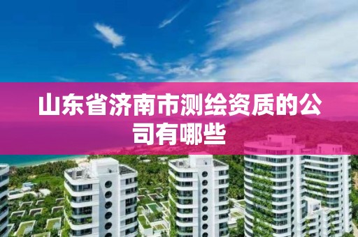 山東省濟南市測繪資質的公司有哪些