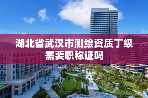 湖北省武漢市測繪資質丁級需要職稱證嗎