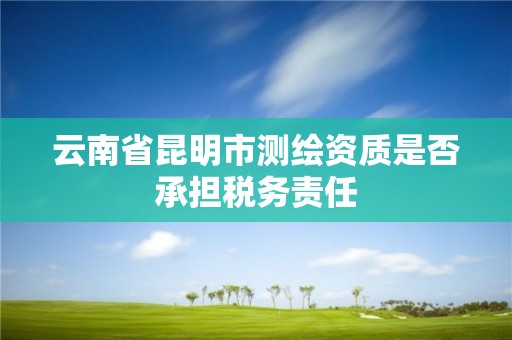 云南省昆明市測繪資質是否承擔稅務責任