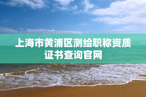 上海市黃浦區測繪職稱資質證書查詢官網