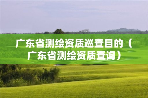 廣東省測繪資質巡查目的（廣東省測繪資質查詢）