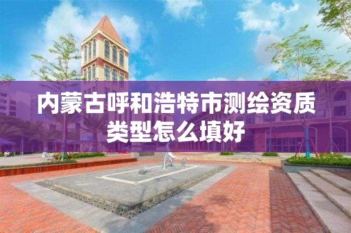 內蒙古呼和浩特市測繪資質類型怎么填好