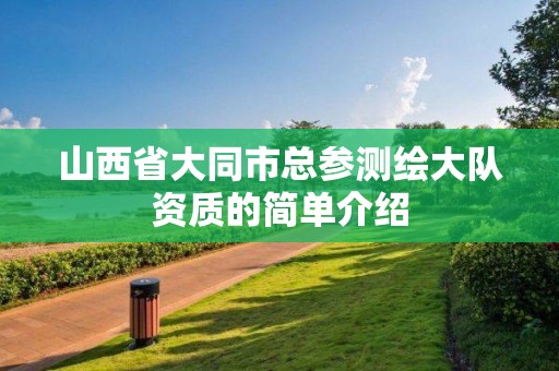 山西省大同市總參測繪大隊資質的簡單介紹