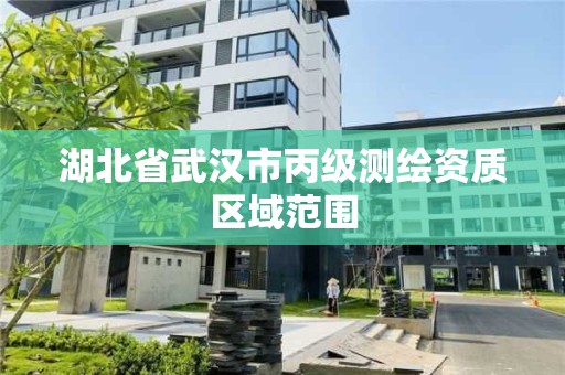 湖北省武漢市丙級測繪資質區域范圍