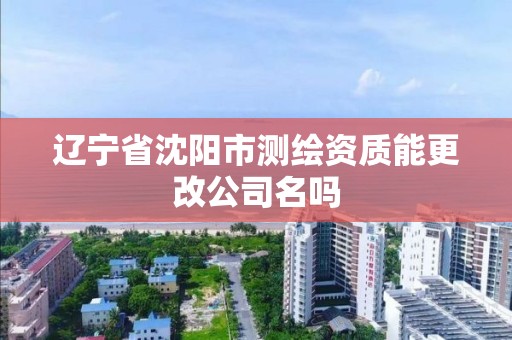 遼寧省沈陽市測繪資質能更改公司名嗎