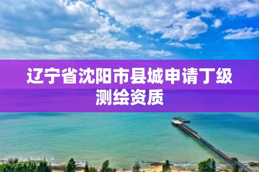 遼寧省沈陽市縣城申請丁級測繪資質