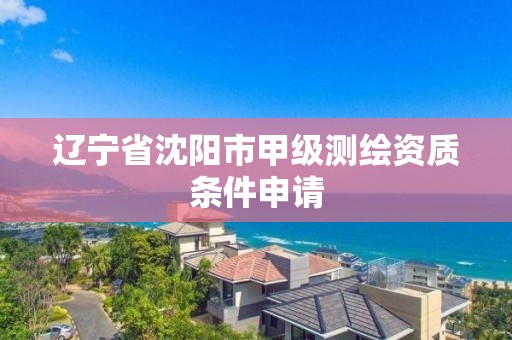 遼寧省沈陽市甲級測繪資質條件申請