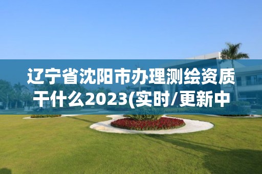 遼寧省沈陽市辦理測繪資質干什么2023(實時/更新中)