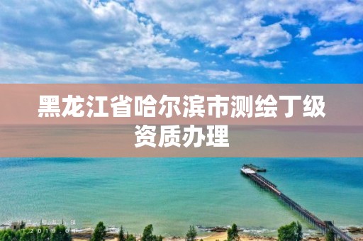 黑龍江省哈爾濱市測繪丁級資質辦理