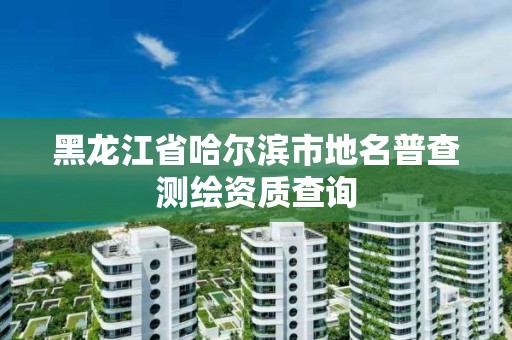 黑龍江省哈爾濱市地名普查測繪資質查詢