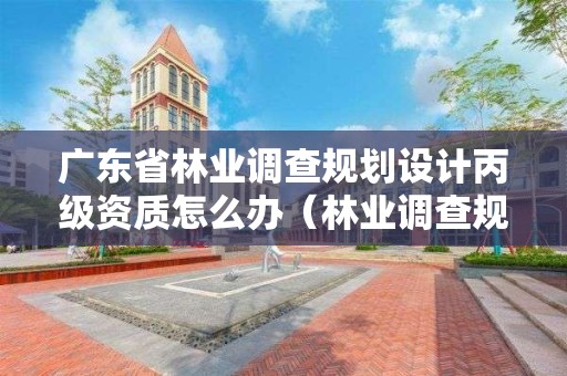 廣東省林業調查規劃設計丙級資質怎么辦（林業調查規劃設計資質丙級業務范圍）