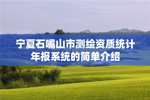 寧夏石嘴山市測繪資質統計年報系統的簡單介紹