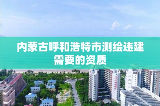 內蒙古呼和浩特市測繪違建需要的資質