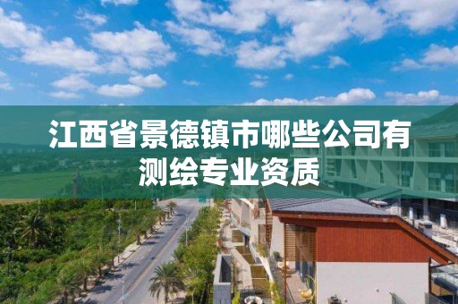 江西省景德鎮市哪些公司有測繪專業資質