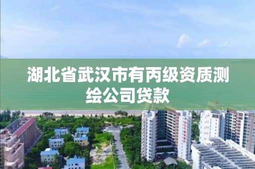 湖北省武漢市有丙級資質測繪公司貸款