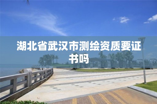 湖北省武漢市測繪資質(zhì)要證書嗎