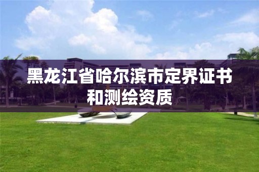 黑龍江省哈爾濱市定界證書和測繪資質(zhì)